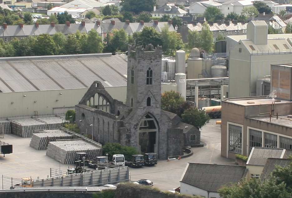 Kilkenny_Friary_as_seen_from_the_Round_Tower_2007_08_28
